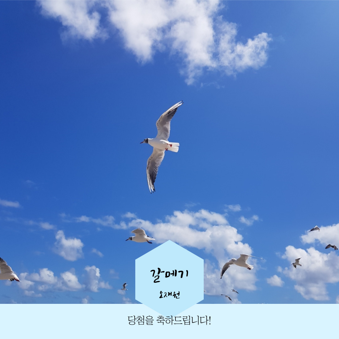 2021년 대기과 기상, 기후 사진전 당첨작 2 KakaoTalk_20210325_225355500_06.jpg